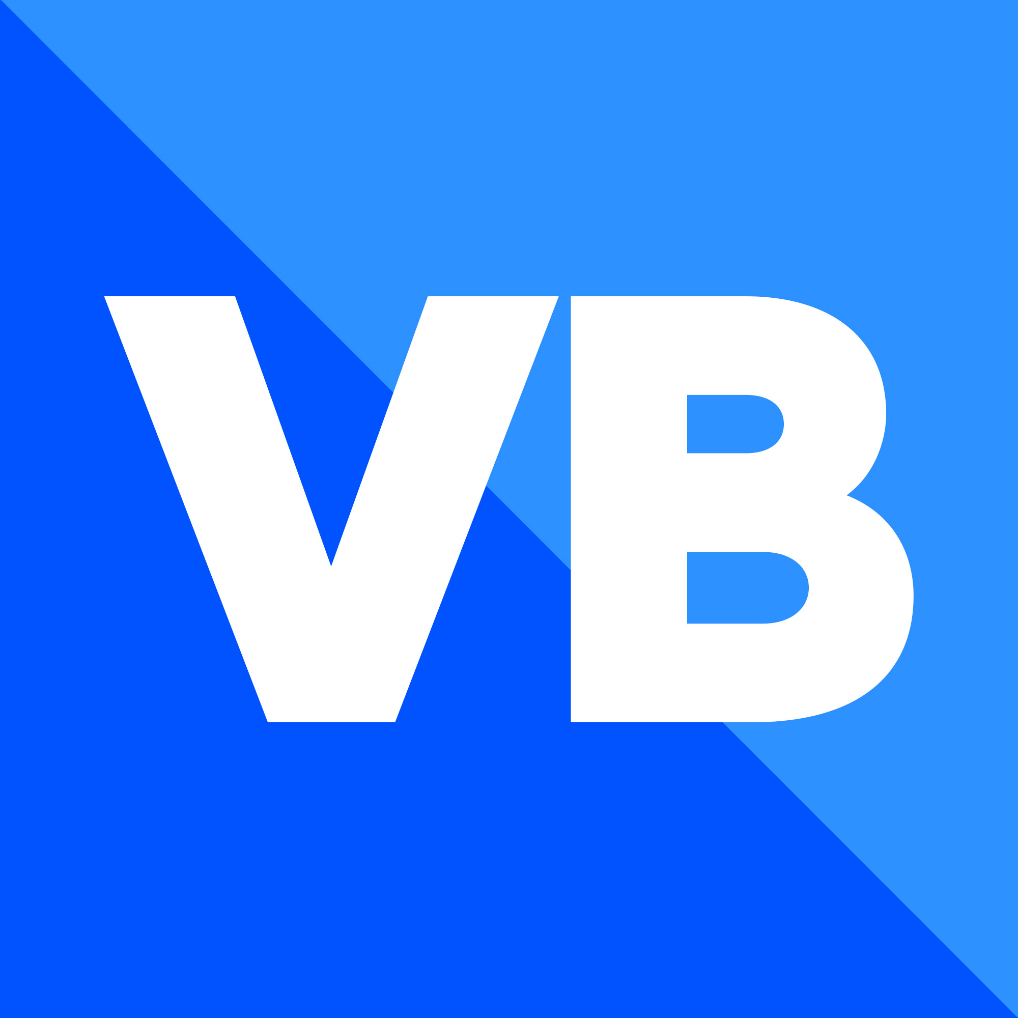 VB-бюро - Лагерь «Проектоград» / Видеоблогинг